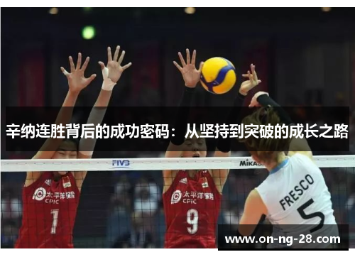 辛纳连胜背后的成功密码：从坚持到突破的成长之路