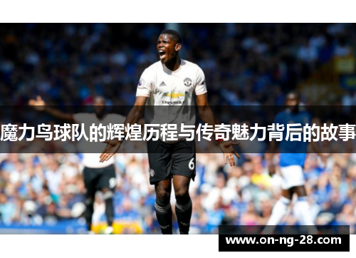 魔力鸟球队的辉煌历程与传奇魅力背后的故事